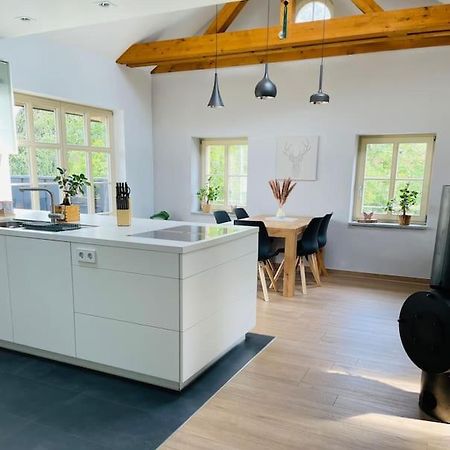 Traumvilla Im Herzen Hainichens Kültér fotó