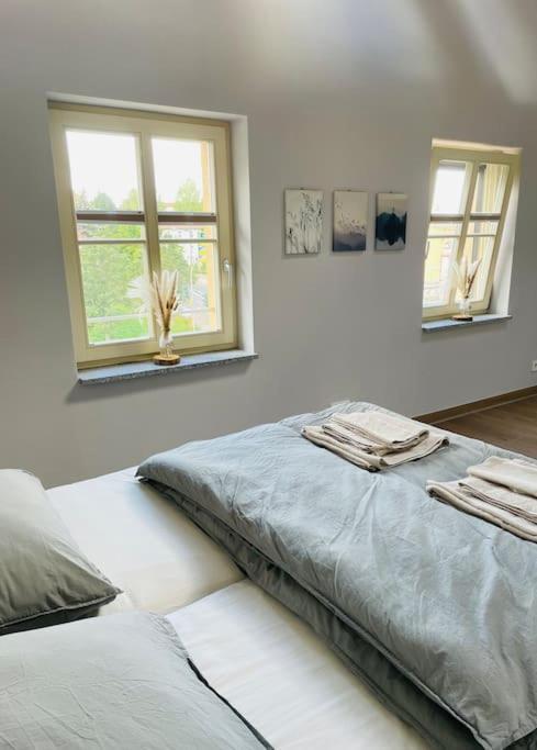 Traumvilla Im Herzen Hainichens Kültér fotó