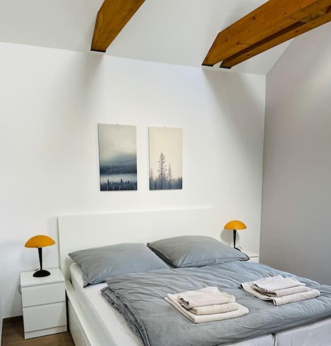 Traumvilla Im Herzen Hainichens Kültér fotó